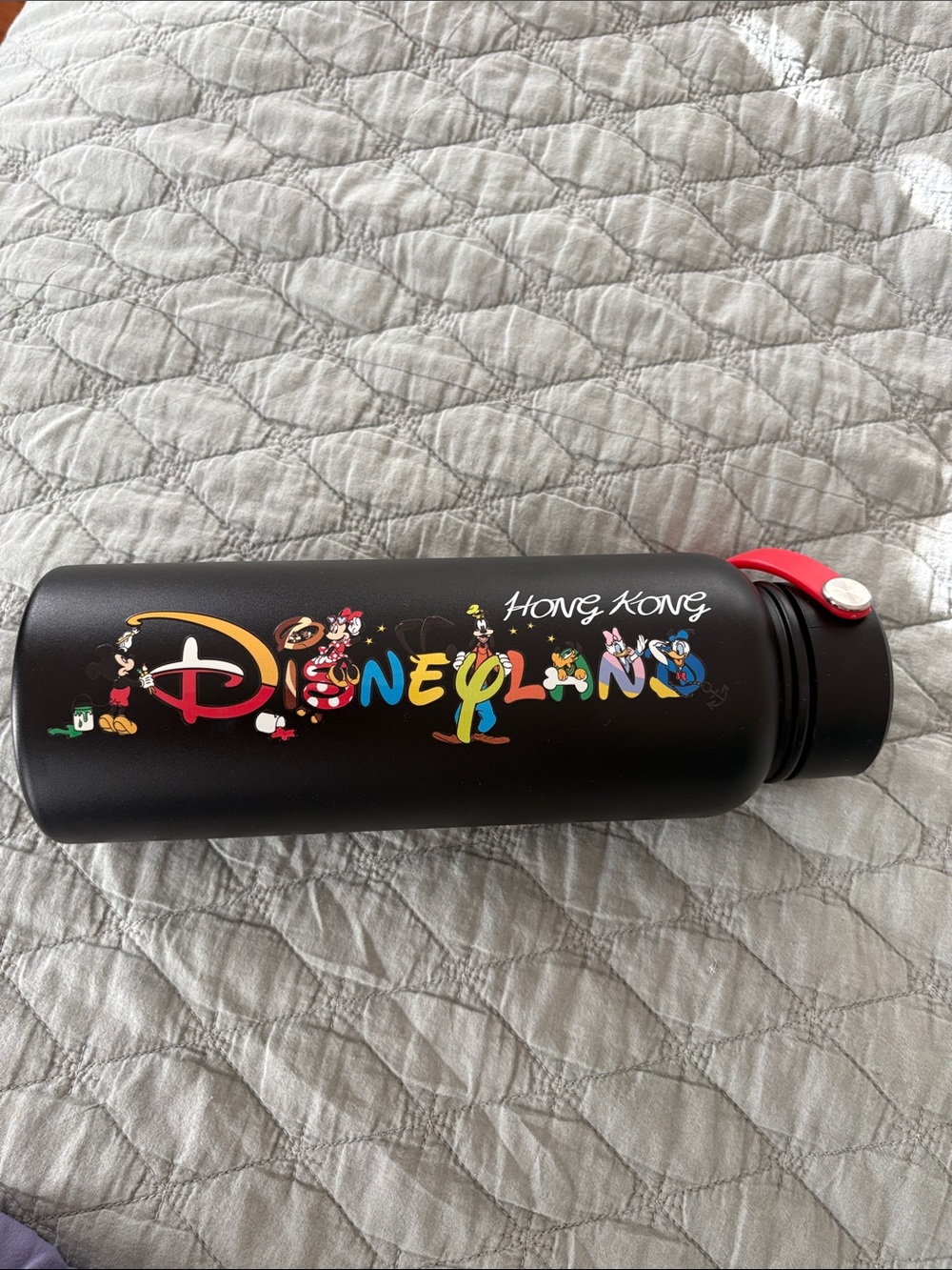 Hong Kong Disneyland Black Character Water Bottle NWT